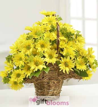 Summer Daisy Basket - [2293]